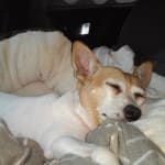 Great Service, Great Prices