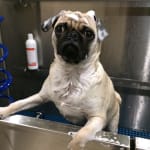 I am suscribed to receive it each month!