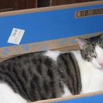 Fus-Sol I will be buying again.