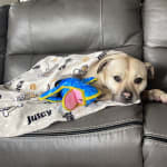 Fast shipping, not sure about product