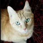 If you have pills, you need this.