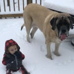 Love this Site for our Luna Girl!