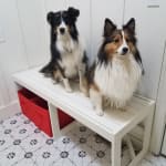 Best heartworm price on internet