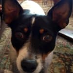 Amazing Customer service!!!!!!!