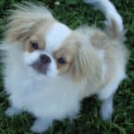 I buy this each month.