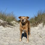 Improve quality of life