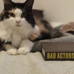 Highly recommend Phos-Bind