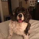 This medication sure helps the allergies