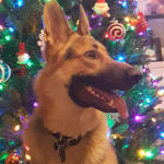 Great place to buy products