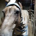 Healing power without breaking my bank