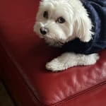 Great and fast service