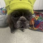 Medication helps his glaucoma