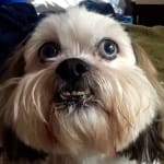 Will be buying from here again.