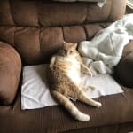 Wow what a difference!!!!!