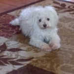 He can't wait to get his treats