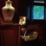 My  baby girl doesn't mind.