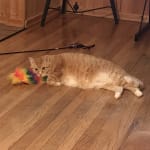 Wow what a difference!!!!!