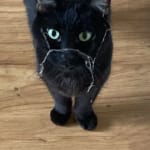 So small and very easy to administer