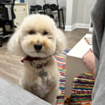 So how to have this product