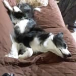 Aventi, it does work.