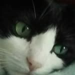 Kudos to Vet RX Direct!!