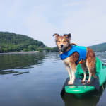 Great customer service!