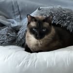 Great product… has help Sam a lot