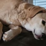 Same meds for lower cost!