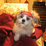 I would buy this again!