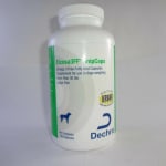 A Game-Changer for Immune Support!