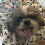 Required daily use three times a day