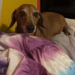 Definitely helps my boy!