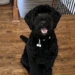 This medication will benefit my pet for life.