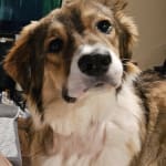 This medication is keeping my boy alive!