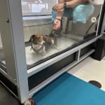 Natural Stress Relief