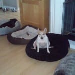 Great Service, Great Prices