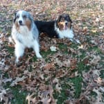 recommend this brand