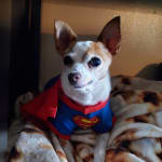 I come to VetRX for all my pet's needs.