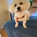 I love my probiotic.