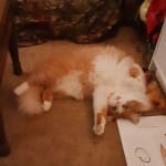 This medication is AMAZING!