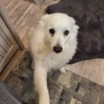 Calcitriol - and convenience of shipping - lifesavers!