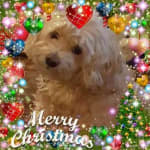 Left his fur very soft.