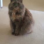 A Wonderful Product!