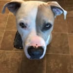 Sensitive Skin Saver