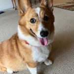 Managing the liver enzyme level