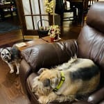 Great Treat for my loves!