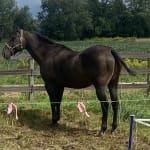 It helps from the itching