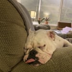 We're back! and Happy!