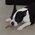 Extremely Satisfied Customer!