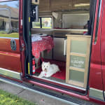 Dasuquin Keeps Dolly Moving